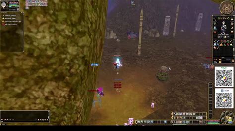 Insanity MMORPG .